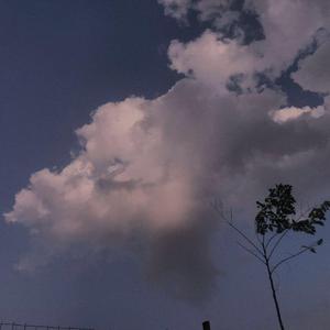 蒂法同人动画哪个好看
